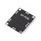 PAM8610 Module